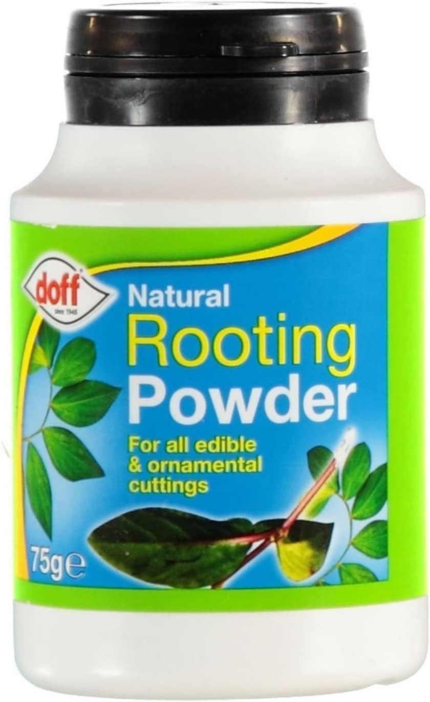 Natural Rooting Powder 75g Growth Promotes Strong and Healthy Roots For Robust Root All Edible Plants and Ornamental Cuttings (1)