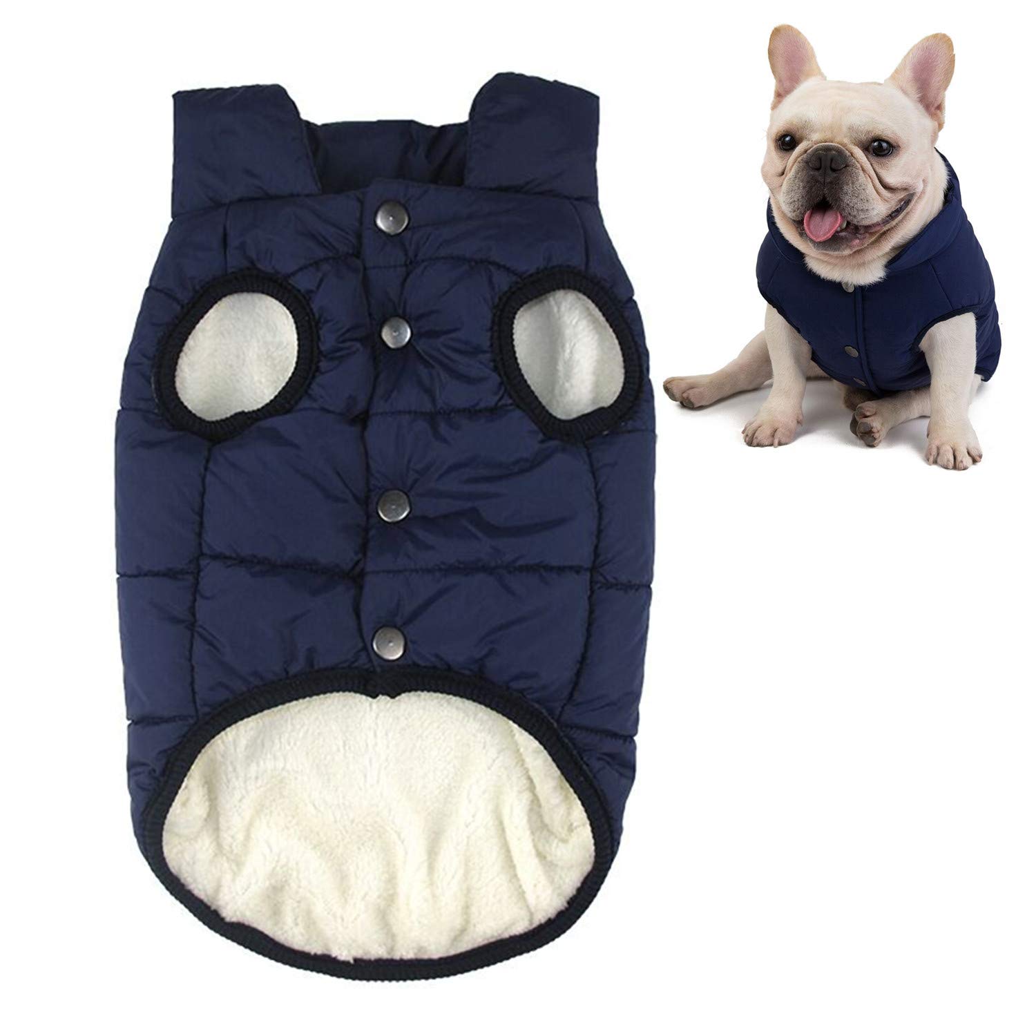 puppy clothes for winter