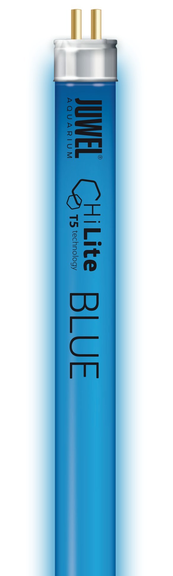 Juwel Aquarium HiLite, fluorescent blueT5.