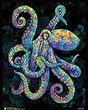 Painted Octopus Flockless Blacklight Reactive Poster (16x20) …