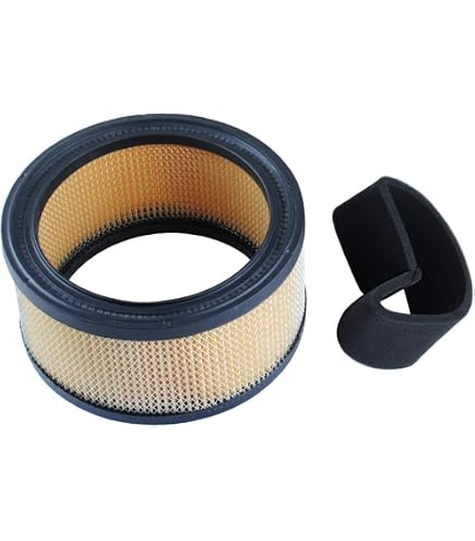 Guarnizione Ciotola Galleggiante 25 041 04-S &ndash; Compatibile Kohler E Carburatori Walbro
