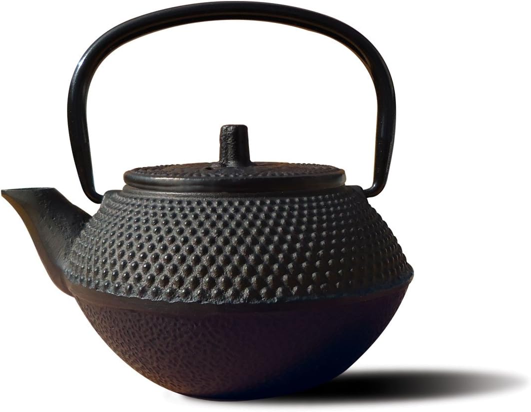 Best Japanese Traditional Tea Kettle