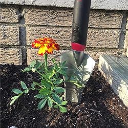 Radius Garden 15211 DIG Multi-Purpose Tool, Red