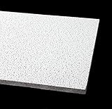 Acoustical Ceiling Tile 24