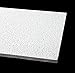 Acoustical Ceiling Tile 24