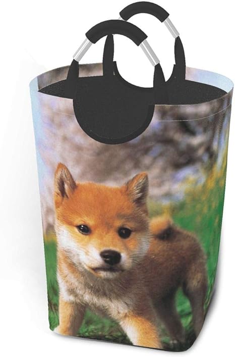 Amazon Co Jp ランドリーバスケット ランドリーかご 柴犬 子犬 可愛い 洗濯ボックス 収納ボックス バッグ 収納 防水 通気性 滑り止め取っ手付き 折りたたみ 大容量 50l 毛布 雑貨 小物入れ 赤ちゃん 衣類収納 袋 おしゃれなインテリア Home Kitchen