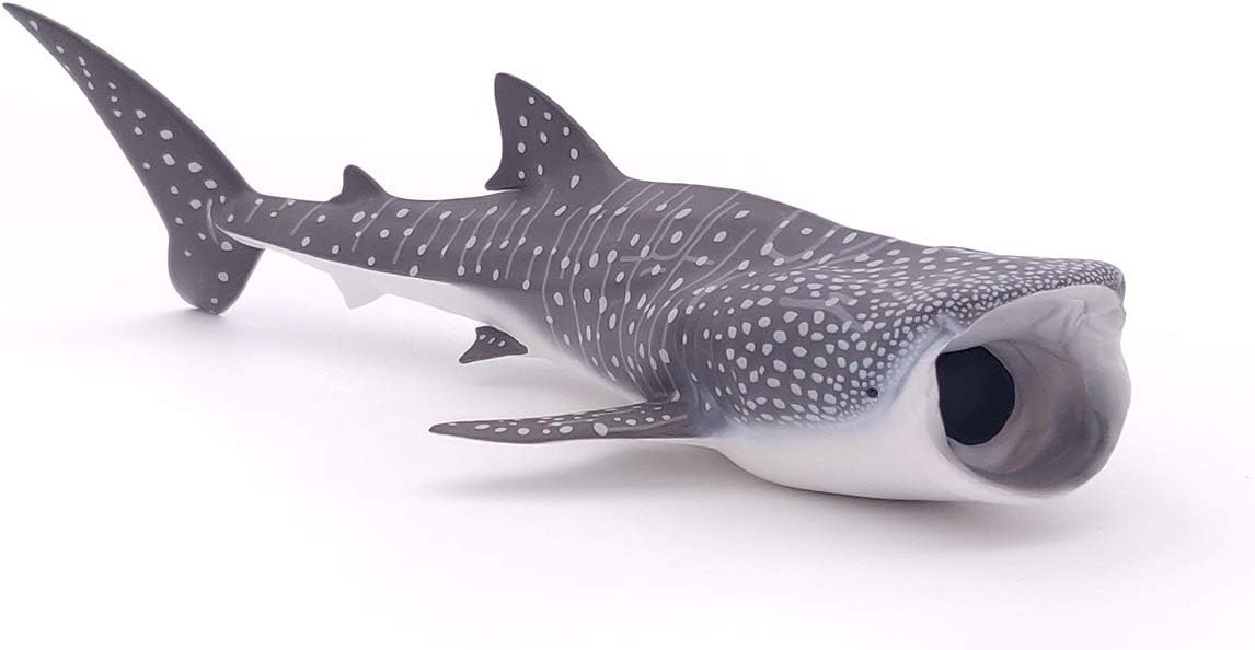 whale shark toy