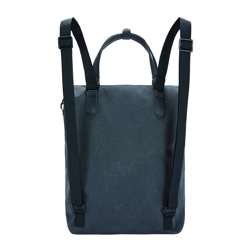 intasafe backpack