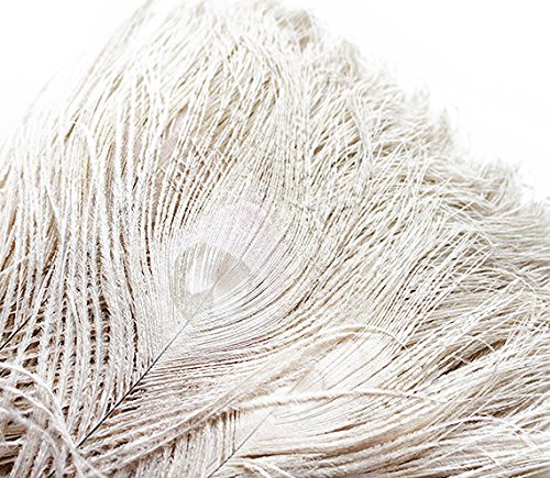 Bleached White Peacock Tail Eye Feathers 10-11" | 1 piece
