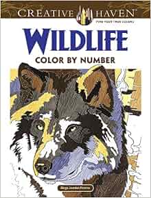 Amazon.com: Creative Haven Wildlife Color by Number Coloring Book