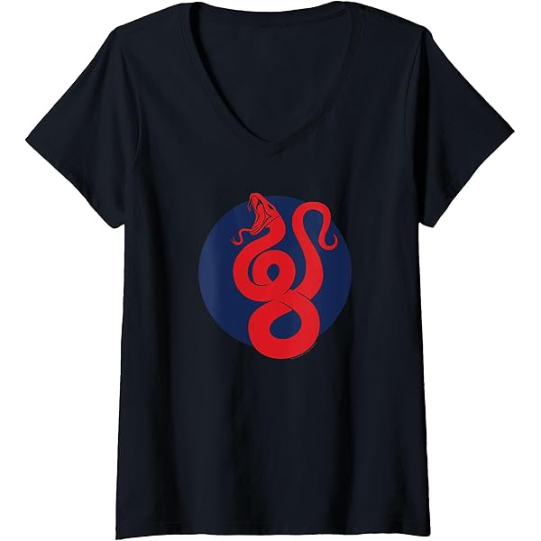 Amazon.com: Cobra Kai World Tournament Sekai Taikai Tempête de