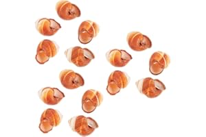 Mipcase 15pcs French Style Escargot Shells Snail Dinner Baking Snail Shells for Cooking