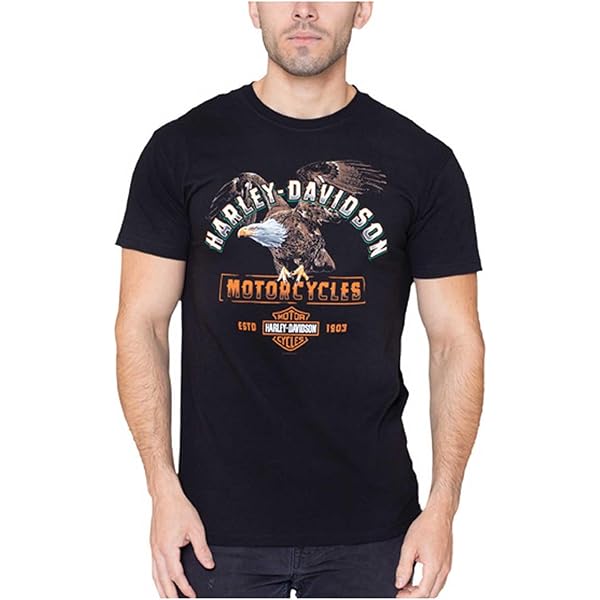 Harley-Davidson Tシャツ Acapulcoデザイン Special !! 90s HARLEY DAVIDSON 