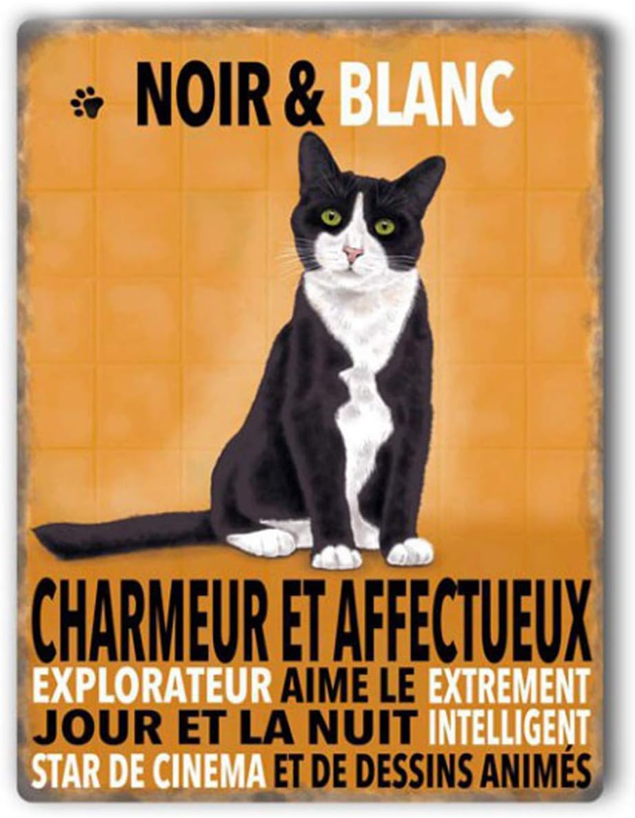Les Tresors De Lily Q64 Metal Magnet Chats Orange Black White Cat Black White 9x6 5 Cm Amazon Co Uk Kitchen Home