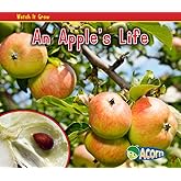 An Apple's Life (Watch It Grow)