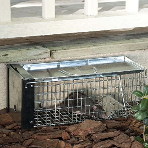 4 Havahart+One+Door+Chipmunk+Squirrel+X+Small