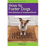How To Foster Dogs - From Homeless To Homeward Bound