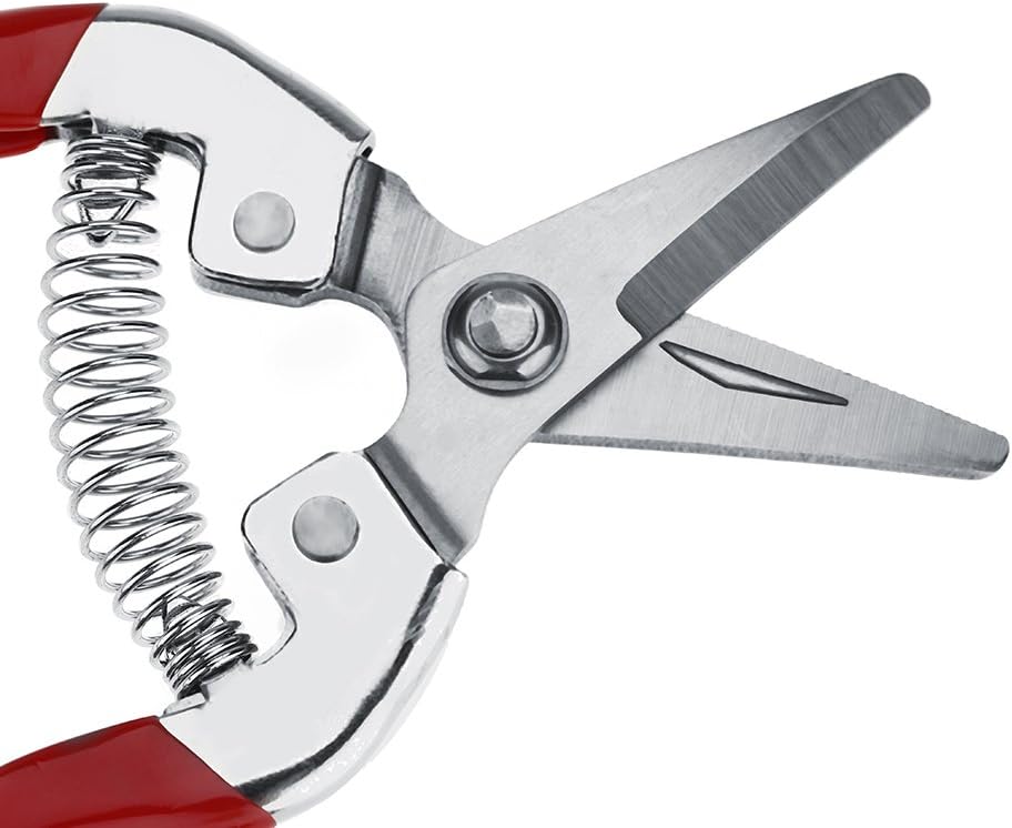 Garden Rose Pruning Shears - Image 4
