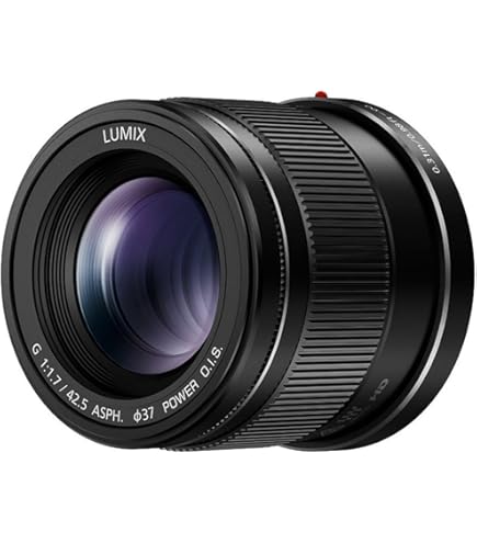Amazon.com : Panasonic H-HSA35100 F2.8 II ASPH 35-100mm Mirrorless 