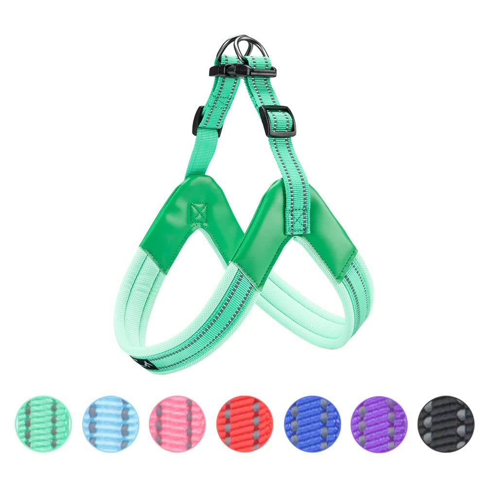 EXCELLENT ELITE SPANKER No Pull Dog Harness Step-in Adjustable Reflective Vest Soft Padded Easy Pet Chest Strap with Leash Clips for Small Medium Large Dogs Walking Training(XL-GRN)