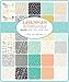 Savannah Charm Pack by Gingiber; 42-5