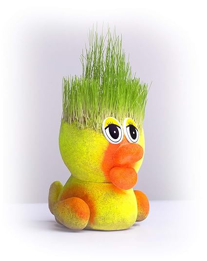 Trimmable Hair From Seeds More Fun Than Chia Heads Cool Weirdos