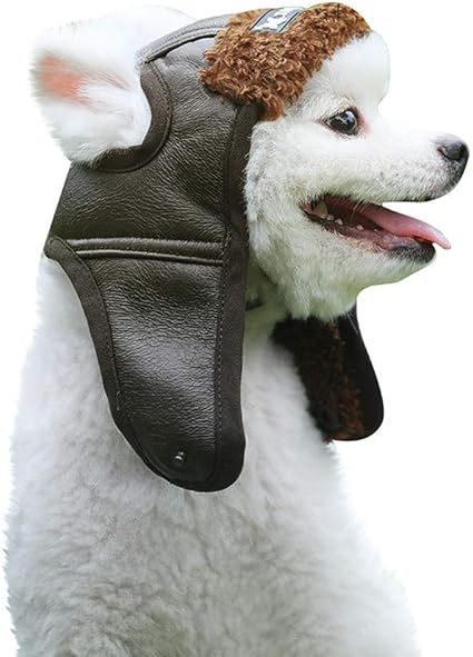 dog winter hats with ear holes