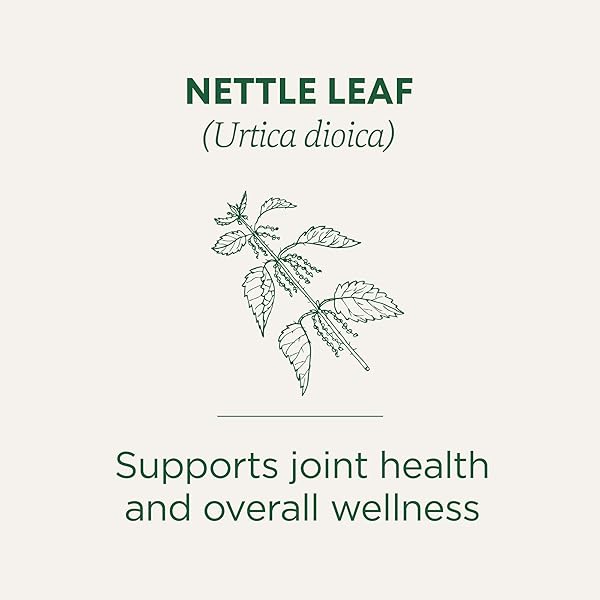 TRADITIONAL MEDICINALS ORGANIC, NETTLE TEA – SUPPORTS JOINT HEALTH & OVERALL WELLNESS WITH STINGING NETTLE – KOSHER, NON-GMO, CAFFEINE-FREE, COMPOSTABLE – 16 TEA BAGS