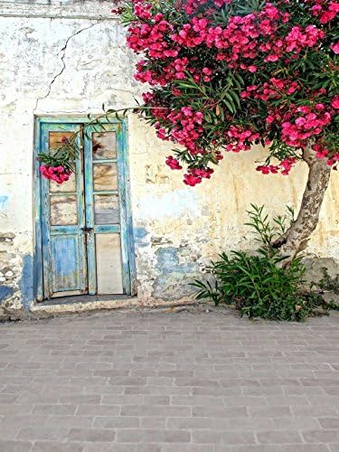Broken Wall Pink Flowers Tree Backdrops for Photography Old Blue Wood Door Backgrounds Booth Shoot Props Brick Floor Photo Studio Country Wallpaper 2006