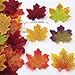 JEMONG 300Pcs Assorted Mixed Fall Colored Artificial Maple Leaves for Weddings, Events and Decorating