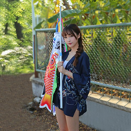 70cm Koi Nobori Carp Wind Socks Koinobori Colorful Fish Flag Hanging Wall Decor - Thumbnail 6