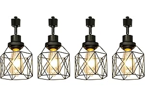 TuyuBEE E26 Track Lighting Heads with Metal Cage, H Type LED Track Light Heads Compatible with H Type Track Rails, E26 Base Adapter Ceiling Light Fixture Direction Adjustable, Black (No Bulbs)