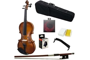 Paititi 4/4 Full Size Artist-100 Student Violin Starter Kit with Brazilwood Bow Lightweight Case, Shoulder Rest, Extra Strings and Rosin