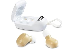 FENNIDICE Hearing Aids, Rechargeable Hearing Aids for Seniors, Portable Hearing Amplifiers with Noise Cancelling and Volume Control, Digital Hearing Assist Devices with Charging Box (H4)