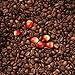 KonaRed Premium Hawaiian Kona Blend Coffee - Whole Bean - Dark Roast, Fat Free, Dairy Free, Sugar Free Small Batch Roasted, Smooth and Robust Flavor (1 lb)