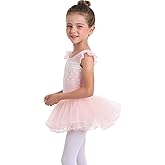MdnMd Fly Short Sleeve Lace Dance Ballet Tutu Leotard Ballerina Outfit for Toddler Girls
