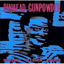 Carry the Banner (Vinyl): Pinhead Gunpowder: Amazon.ca: Music