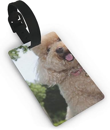 toy poodle accessories