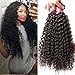Dinoce Compatible with Longqi Beauty Brazilian Curly Unprocessed Virgin Hair 3 Bundles Remy Human Hair Jerry Curly Weave 300g (22 24 26 Inch, Natural Color)