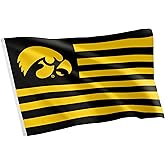 Desert Cactus University of Iowa Indoor and Outdoor 100% Polyester University Flag Banner, 3x5 Feet Hawkeyes (Nation)