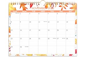 NOKINGO Calendar 2026-2027 - Wall Calendar from Jan 2026 to Jun 2027- Monthly Calendar with 140gsm Thick Paper for Planning and Organizing for Home or Office, 8.5 x 11 In Wall Calendar 2026-2027