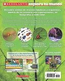 Image de Scholastic Explora Tu Mundo: Insectos y Otras Criaturas: (Spanish language edition of Scholastic Discover More: Bugs) (Spanish Edition)