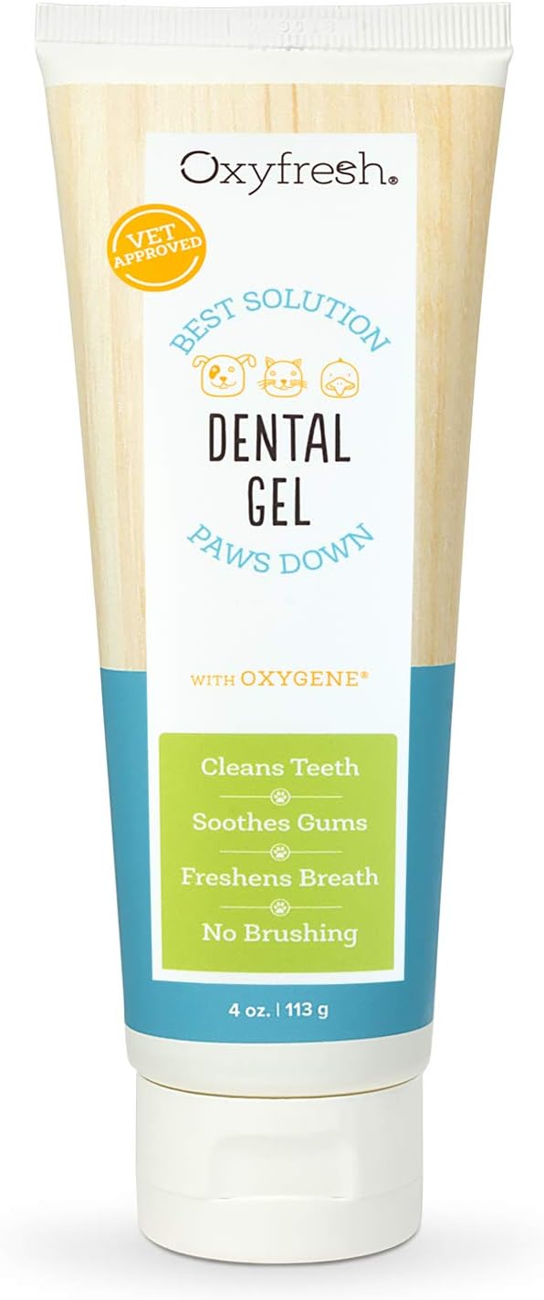 Best Cat Toothpaste (2020)