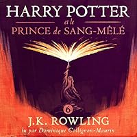 Harry Potter et le Prince de Sang-Mêlé (Harry Potter 6)