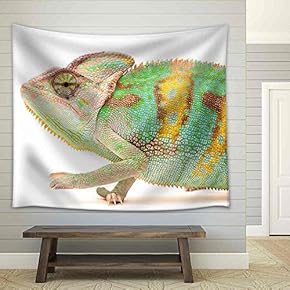Yemen Chameleon Isolated on White Background - Fabric Wall Tapestry Home Decor - 51x60 inches