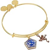 Alex and Ani Harry Potter Chocolate Frog Two-Charm Bangle