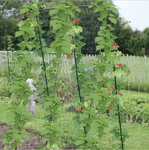 Soporte para plantas, de acero, para el jardín, para plantas de ...
