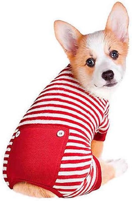 where does parvo come from in dogs