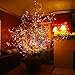 LED String Lights Dimmable with Remote Control, 66ft 200 LEDs Waterproof Christmas Decorative Lights for Bedroom, Balcony, Patio, Garden, Party, Wedding (Copper Wire, Warm White)