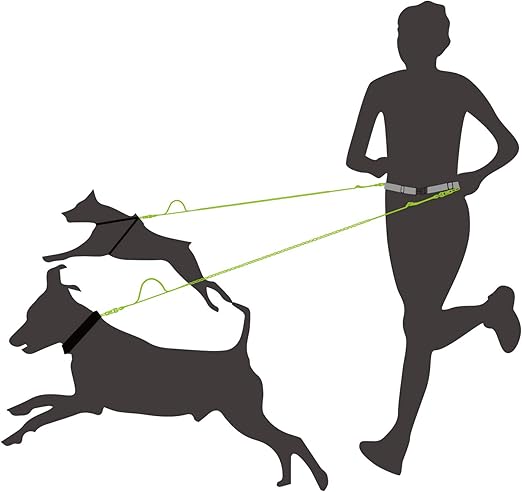 waist dog lead for 2 dogs